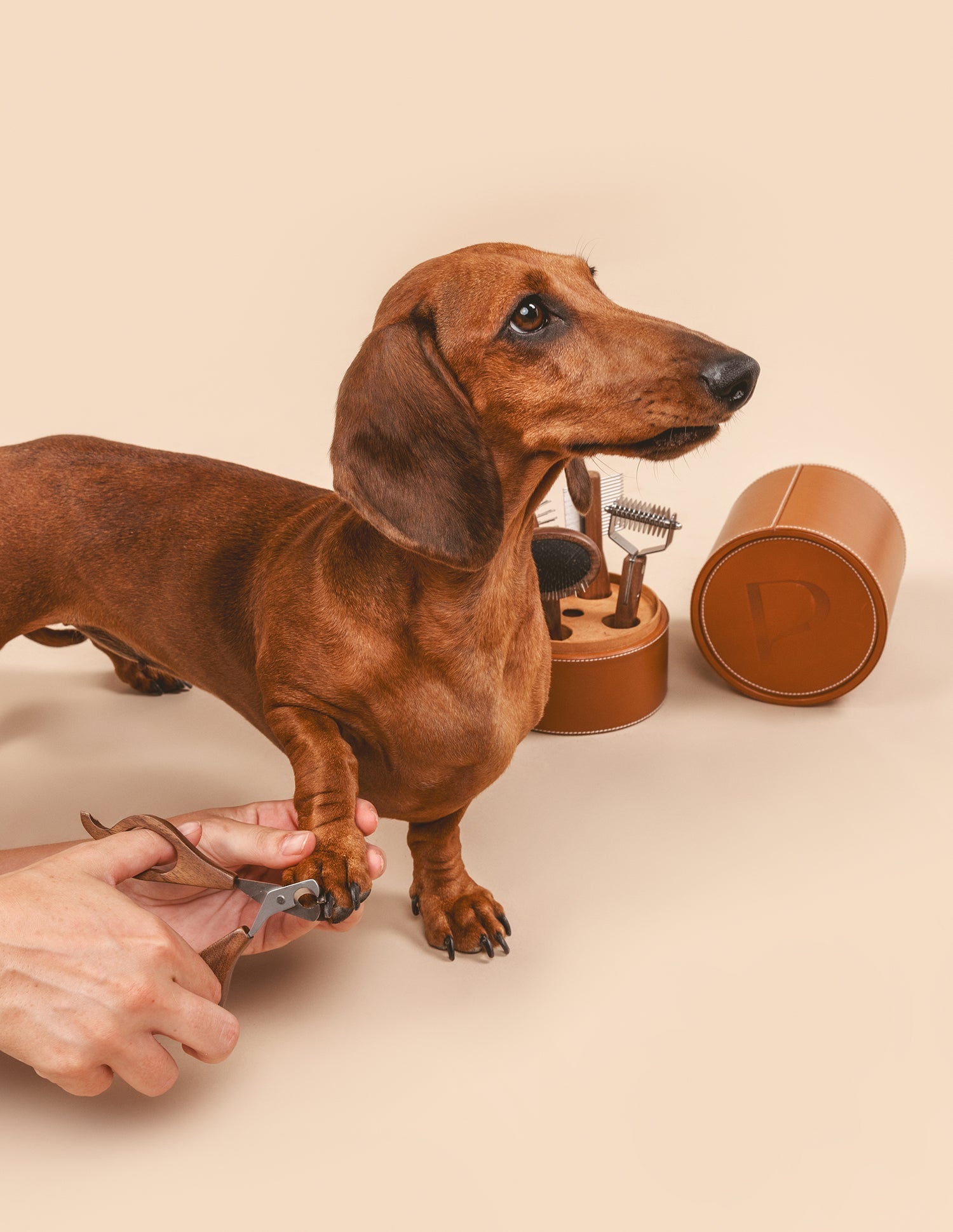 Kit The Pansage — detalhe das ferramentas