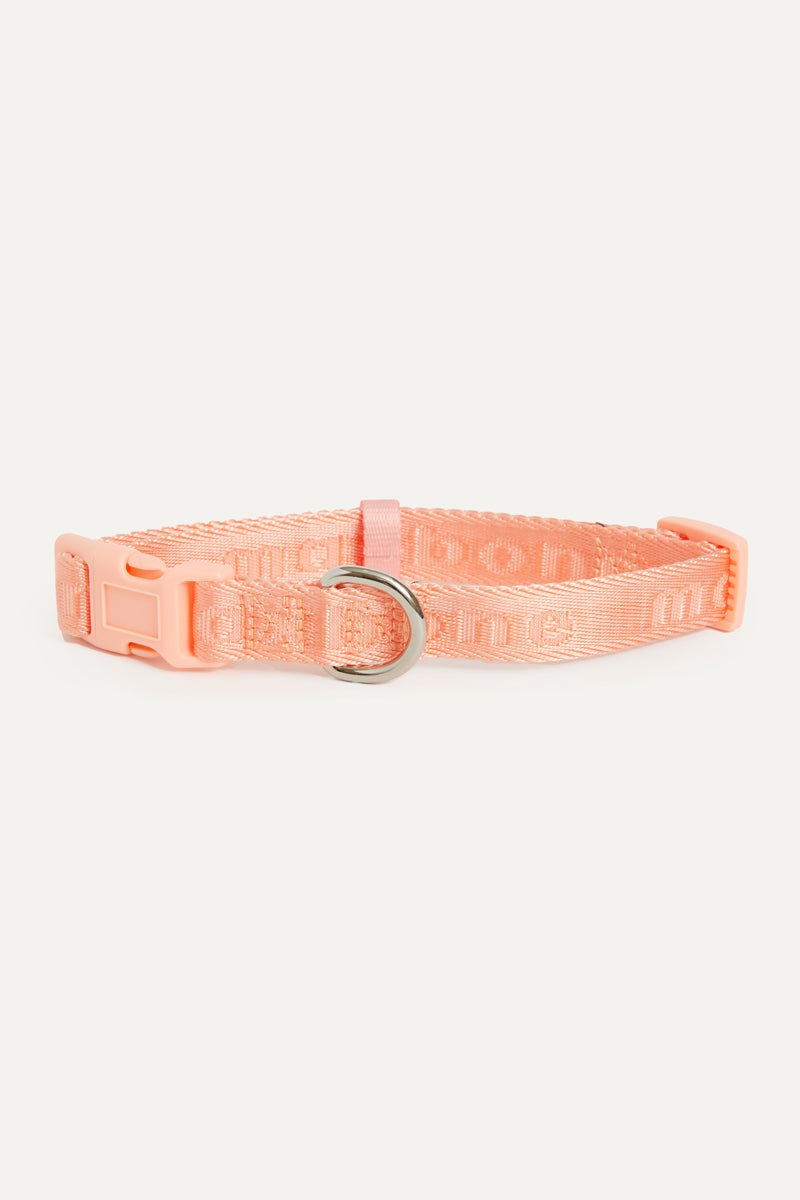 Coleira Signature Collar premium da Maxbone em Cherry Cola — detalhe do acabamento (03)
