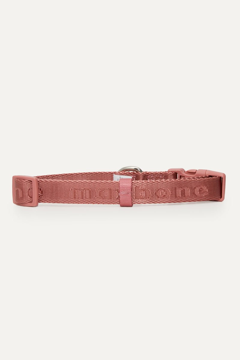 Coleira Signature Collar premium da Maxbone em Cherry Cola — em utilização (05)